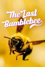 Watch The Last Bumblebee 0123movies