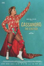 Watch Cassandro, The Exotico! 0123movies