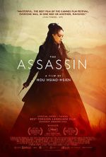 Watch The Assassin 0123movies