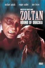 Watch Dracula's Dog 0123movies