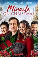 Watch Miracle on Christmas 0123movies