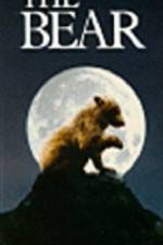 Watch The Bear - (L'ours) 0123movies