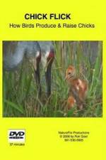 Watch Chick Flick How Birds Produce and Raise Chicks 0123movies