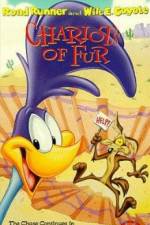 Watch Ready Woolen and Able 0123movies