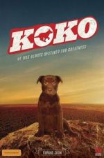 Watch Koko: A Red Dog Story 0123movies