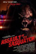 Watch Sasquatch Assault 0123movies