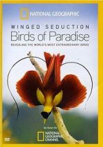 Watch Winged Seduction: Birds of Paradise 0123movies