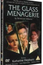 Watch The Glass Menagerie 0123movies