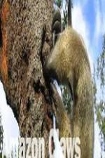 Watch National Geographic Wild Amazon Claws 0123movies