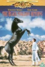 Watch The Black Stallion Returns 0123movies