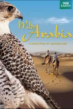 Watch Wild Arabia 0123movies