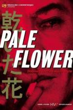 Watch Kawaita hana 0123movies