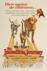 Watch The Incredible Journey 0123movies