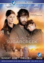 Watch Love Finds You in Sugarcreek 0123movies