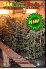 Watch SeeMoreBuds: Vol. 3 0123movies