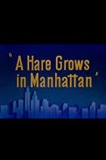 Watch A Hare Grows in Manhattan 0123movies