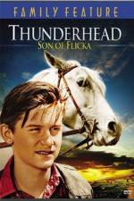 Watch Thunderhead - Son of Flicka 0123movies