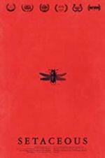 Watch Setaceous 0123movies