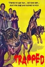 Watch Trapped 0123movies