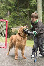 Watch Deck the Halls 0123movies