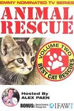 Watch Animal Rescue, Volume 2: Best Cat Rescues 0123movies