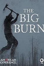 Watch American Experience: The Big Burn 0123movies