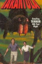 Watch Tarantula 0123movies