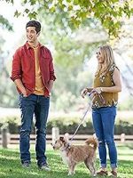 Watch Hometown Hero 0123movies