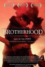 Watch Brotherhood 0123movies
