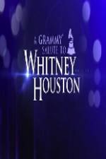 Watch We Will Always Love You A Grammy Salute to Whitney Houston 0123movies