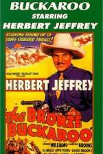 Watch The Bronze Buckaroo 0123movies