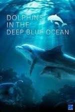 Watch Dolphins in the Deep Blue Ocean 0123movies