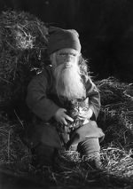 Watch Tomten 0123movies