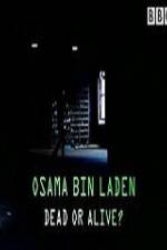 Watch The Final Report Osama bin Laden Dead or Alive 0123movies