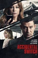 Watch Accidental Switch 0123movies