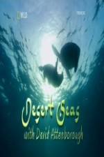 Watch National Geographic Desert Seas 0123movies