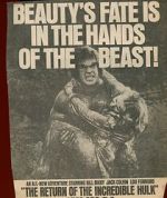 Watch The Return of the Incredible Hulk 0123movies