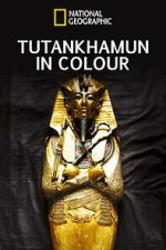 Watch King Tut in Color 0123movies