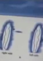 Watch Quantum Communication 0123movies