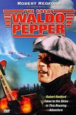 Watch The Great Waldo Pepper 0123movies