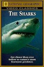 Watch National Geographic The Sharks 0123movies