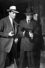 Watch No Orchids for Miss Blandish 0123movies