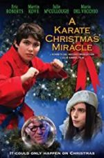 Watch A Karate Christmas Miracle 0123movies