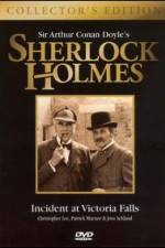 Watch Incident at Victoria Falls 0123movies