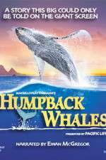 Watch Humpback Whales 0123movies
