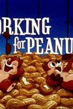 Watch Working For Peanuts 0123movies