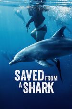 Watch Saved from a Shark 0123movies