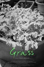 Watch Grass 0123movies