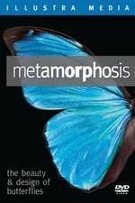 Watch Metamorphosis: The Beauty and Design of Butterflies 0123movies