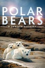 Watch Polar Bears: A Summer Odyssey 0123movies